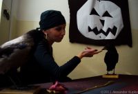 obrázok 50 z Halloween na GJAR